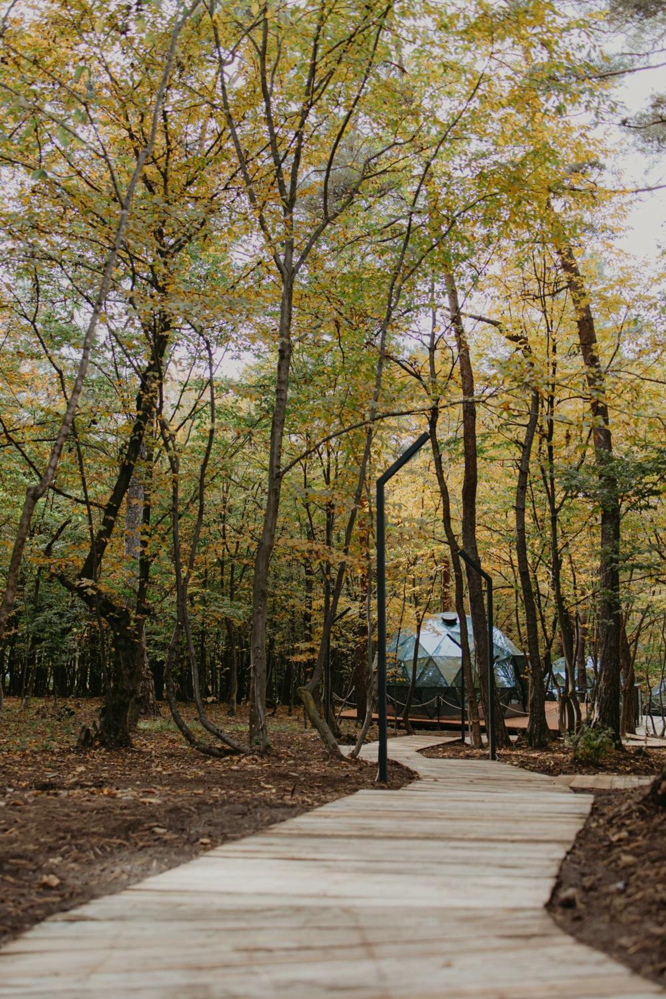 Отель Dream Park Gyulagarak Экстерьер фото